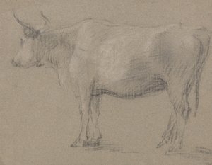 牛の研究 作： Thomas Gainsborough